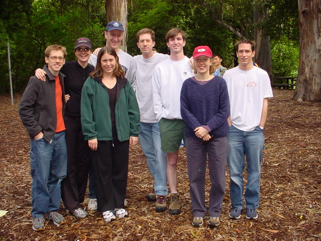 Dead Cat in the Basement (DCIB)